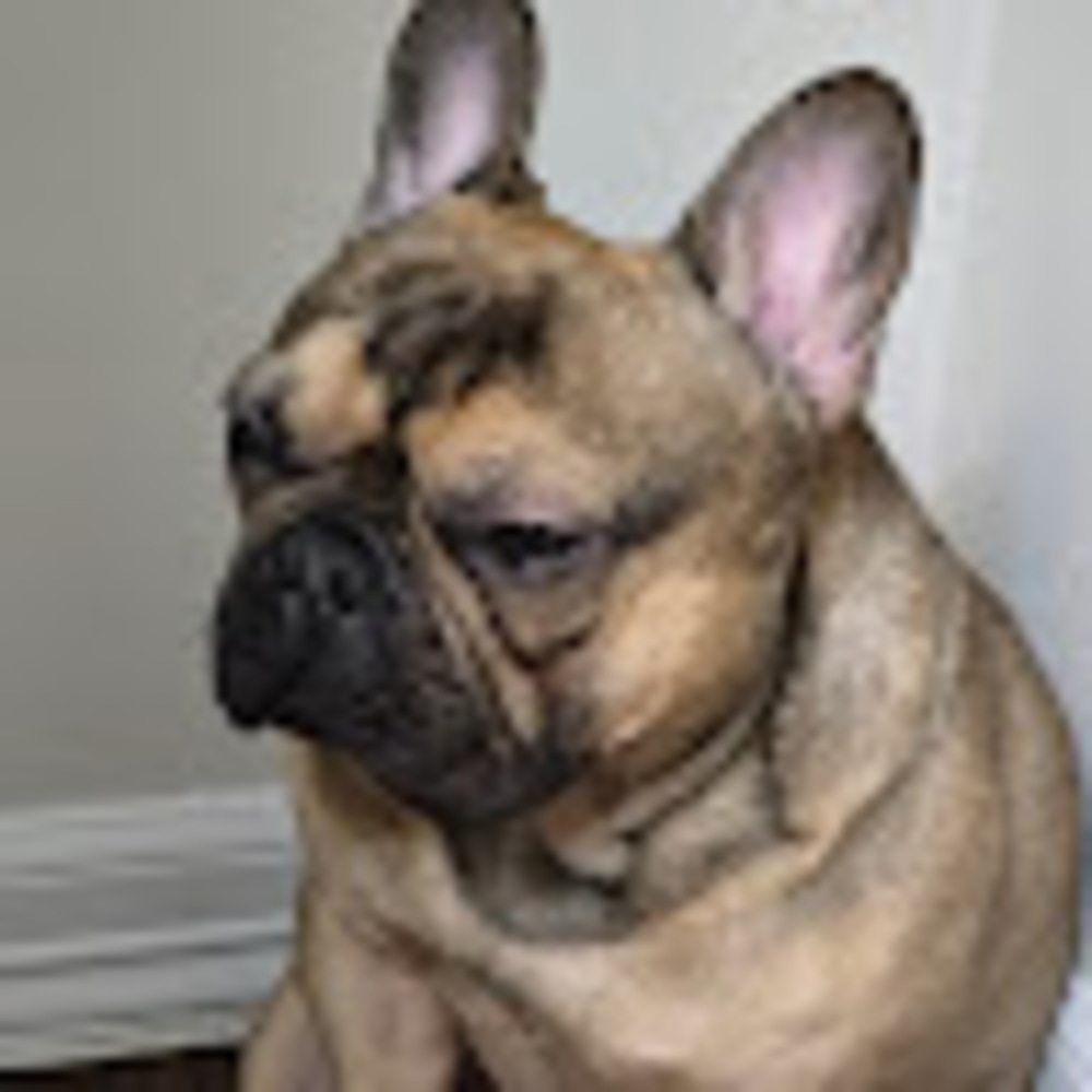 Meet your Posher, Aaron